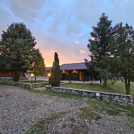 Orino Livadi Mount Villa IV Arachova Esterno foto